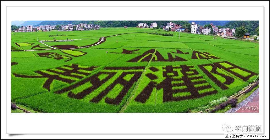 【春天，广西桂林灌阳县向您发出邀请！】开篇 - 游山玩水 - 玉林生活社区 - 玉林28生活网 yulin.28life.com