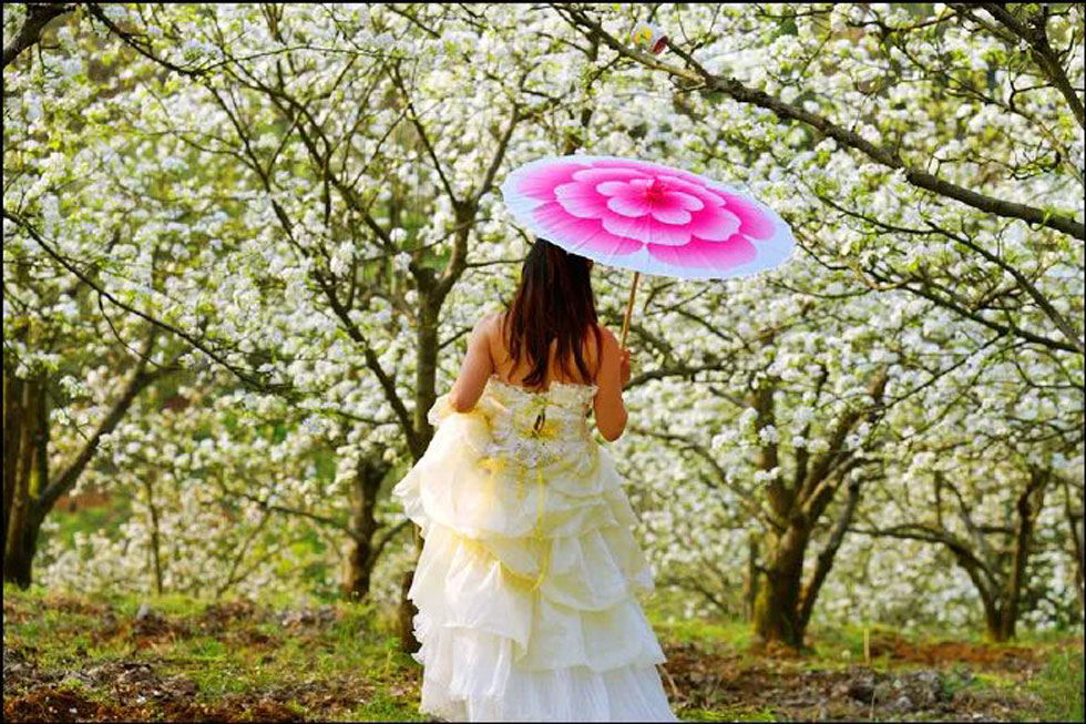 【春天，广西桂林灌阳县向您发出邀请！】我们在灌阳看梨花 - 游山玩水 - 玉林生活社区 - 玉林28生活网 yulin.28life.com