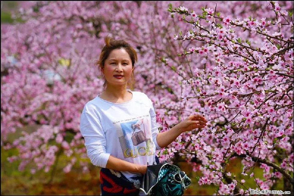 【春天,广西桂林灌阳县向您发出邀请!】官庄村有个醉美的桃花园 - 游山玩水 - 玉林生活社区 - 玉林28生活网 yulin.28life.com