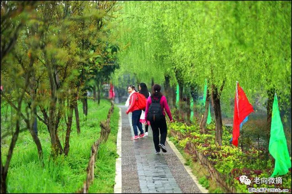 【春天，广西桂林灌阳县向您发出邀请！】江口老街又逢春 - 游山玩水 - 玉林生活社区 - 玉林28生活网 yulin.28life.com