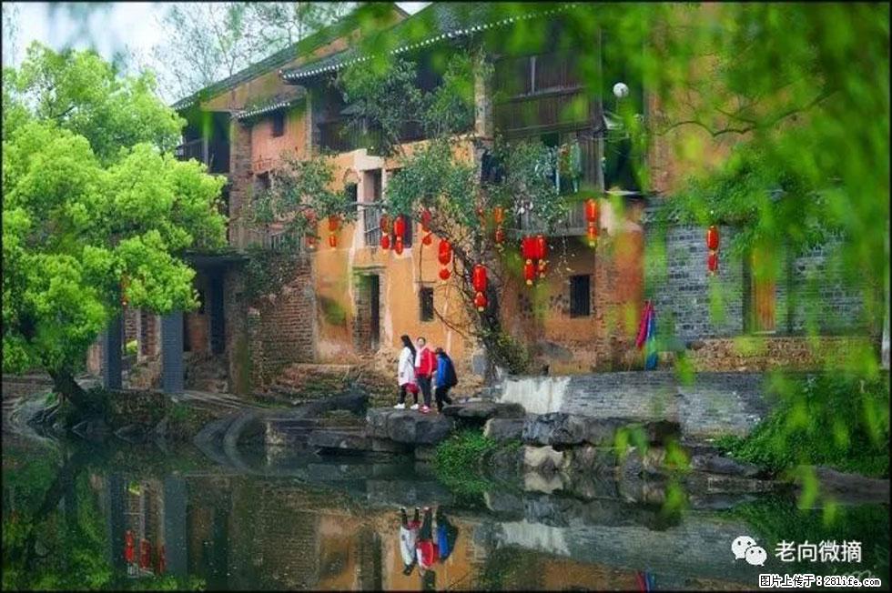 【春天，广西桂林灌阳县向您发出邀请！】江口老街又逢春 - 游山玩水 - 玉林生活社区 - 玉林28生活网 yulin.28life.com