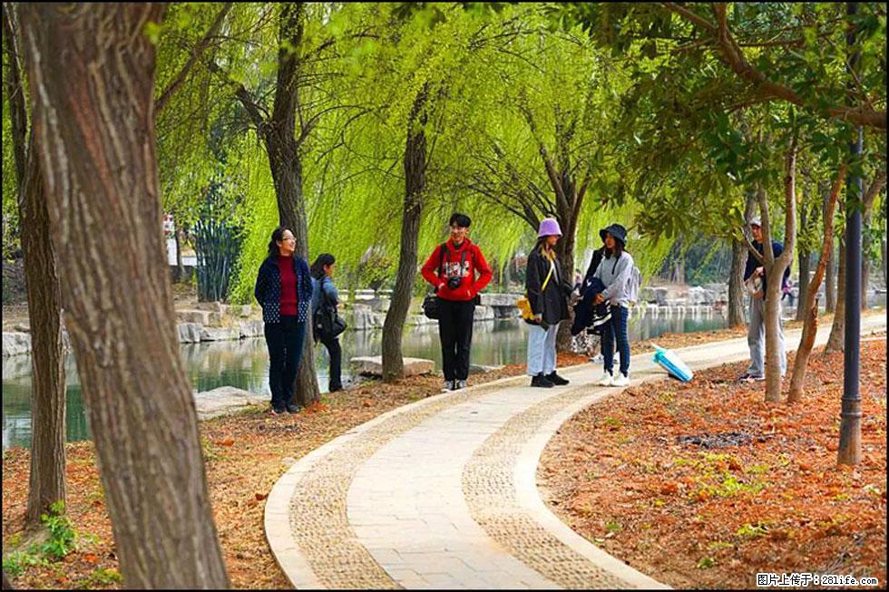 【春天，广西桂林灌阳县向您发出邀请！】江口老街又逢春 - 游山玩水 - 玉林生活社区 - 玉林28生活网 yulin.28life.com