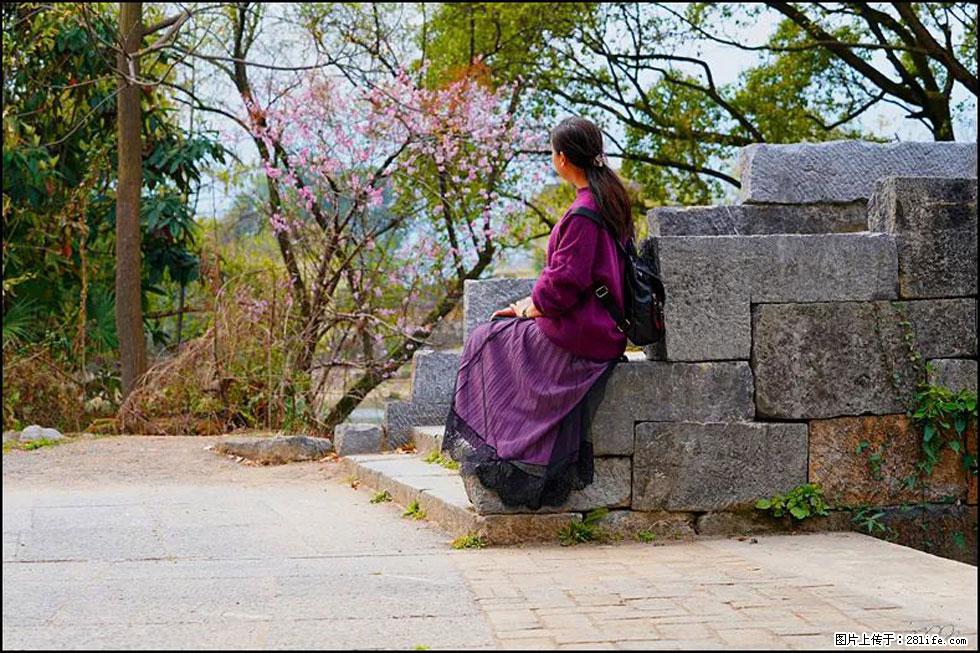 【春天，广西桂林灌阳县向您发出邀请！】江口老街又逢春 - 游山玩水 - 玉林生活社区 - 玉林28生活网 yulin.28life.com