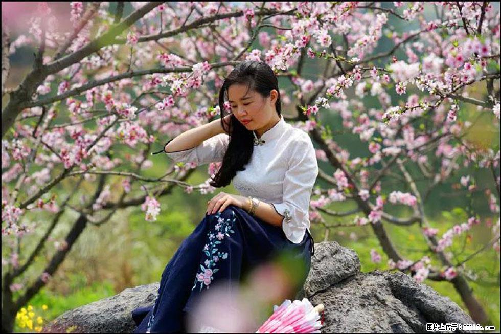 【春天，广西桂林灌阳县向您发出邀请！】望月岭上桃花开 - 游山玩水 - 玉林生活社区 - 玉林28生活网 yulin.28life.com