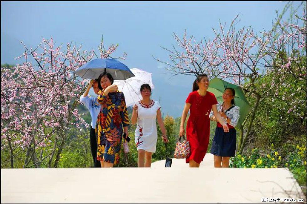 【春天，广西桂林灌阳县向您发出邀请！】望月岭上桃花开 - 游山玩水 - 玉林生活社区 - 玉林28生活网 yulin.28life.com