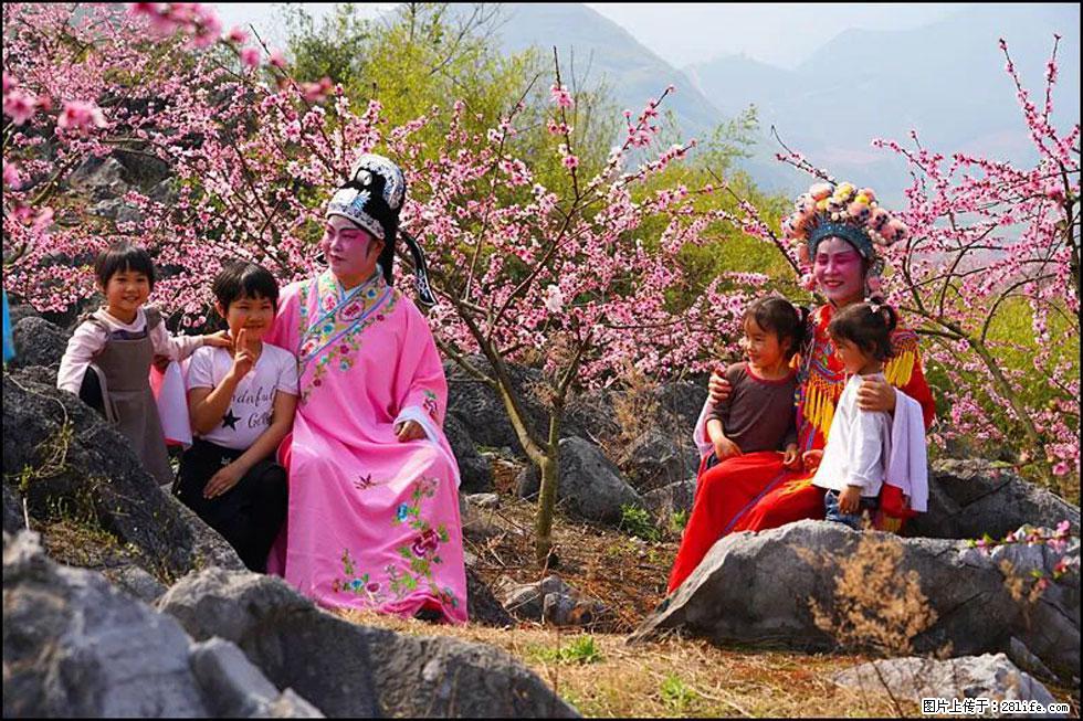【春天，广西桂林灌阳县向您发出邀请！】望月岭上桃花开 - 游山玩水 - 玉林生活社区 - 玉林28生活网 yulin.28life.com