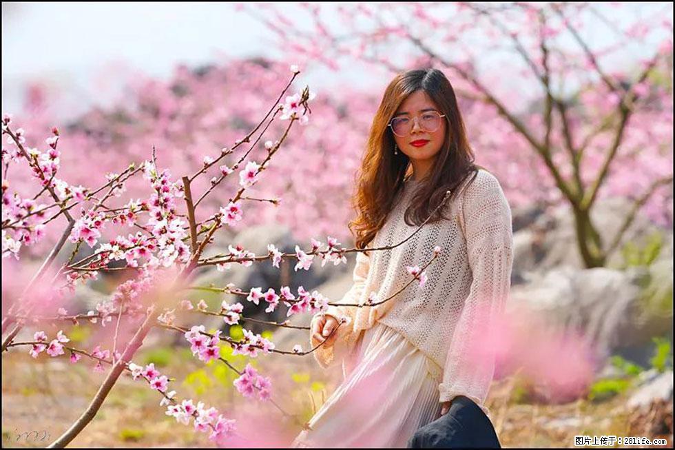 【春天，广西桂林灌阳县向您发出邀请！】望月岭上桃花开 - 游山玩水 - 玉林生活社区 - 玉林28生活网 yulin.28life.com