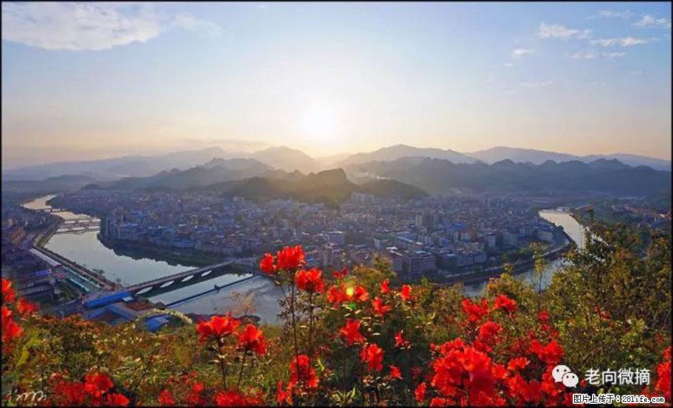 【春天，广西桂林灌阳县向您发出邀请！】登麒麟山，相约映山红 - 游山玩水 - 玉林生活社区 - 玉林28生活网 yulin.28life.com