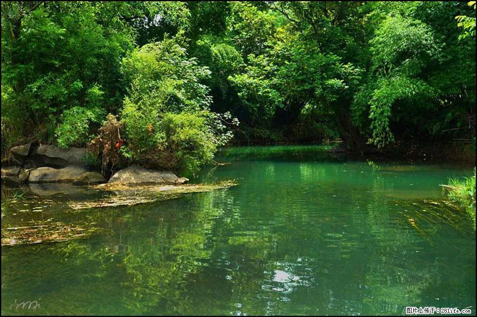 【春天,广西桂林灌阳县向您发出邀请!】如梦似幻莲溪庐 - 游山玩水 - 玉林生活社区 - 玉林28生活网 yulin.28life.com