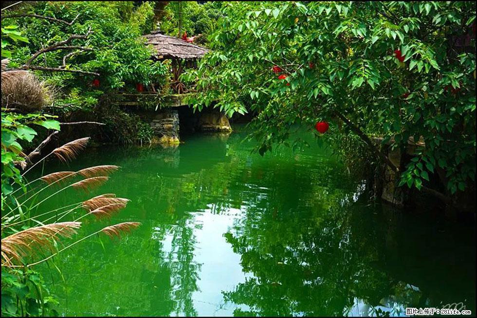【春天,广西桂林灌阳县向您发出邀请!】如梦似幻莲溪庐 - 游山玩水 - 玉林生活社区 - 玉林28生活网 yulin.28life.com
