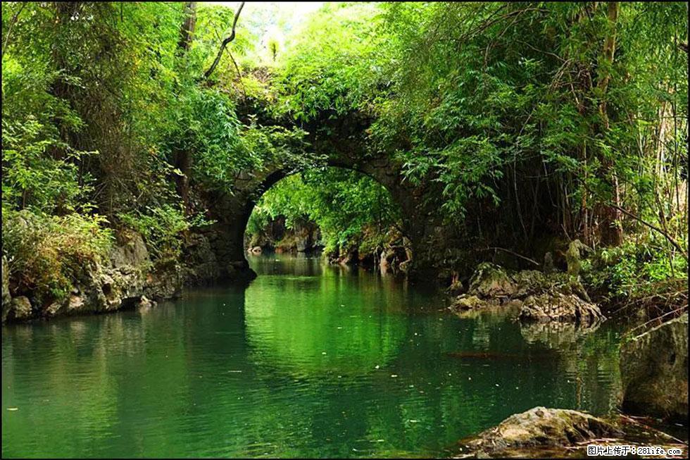 【春天,广西桂林灌阳县向您发出邀请!】如梦似幻莲溪庐 - 游山玩水 - 玉林生活社区 - 玉林28生活网 yulin.28life.com