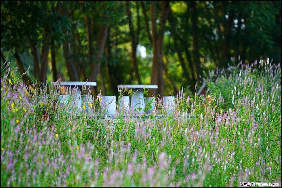 【春天,广西桂林灌阳县向您发出邀请!】熊家寨湿地公园 - 游山玩水 - 玉林生活社区 - 玉林28生活网 yulin.28life.com