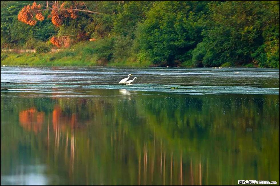【春天,广西桂林灌阳县向您发出邀请!】熊家寨湿地公园 - 游山玩水 - 玉林生活社区 - 玉林28生活网 yulin.28life.com