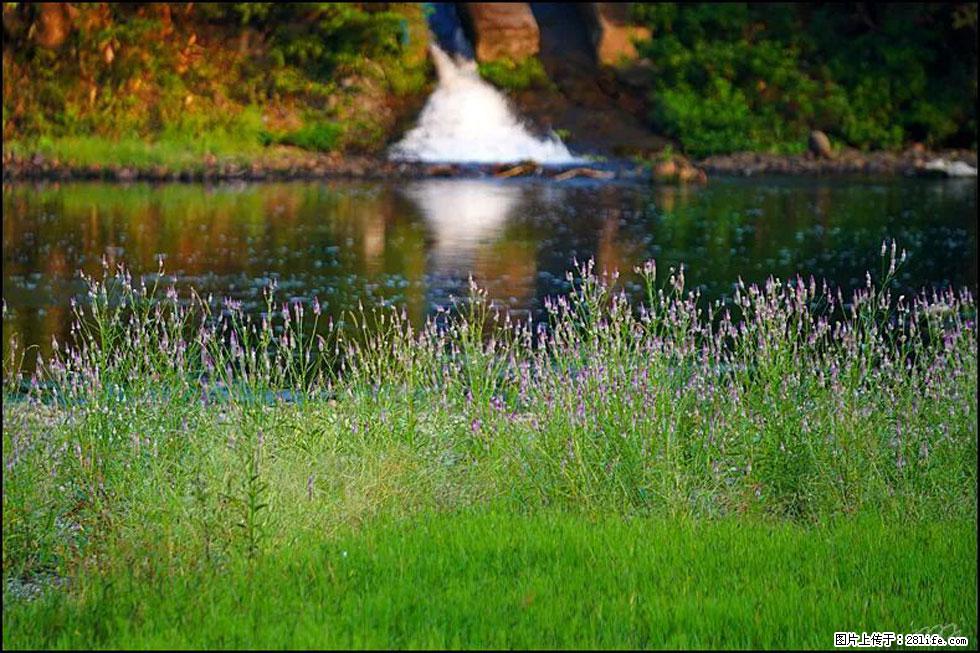 【春天,广西桂林灌阳县向您发出邀请!】熊家寨湿地公园 - 游山玩水 - 玉林生活社区 - 玉林28生活网 yulin.28life.com