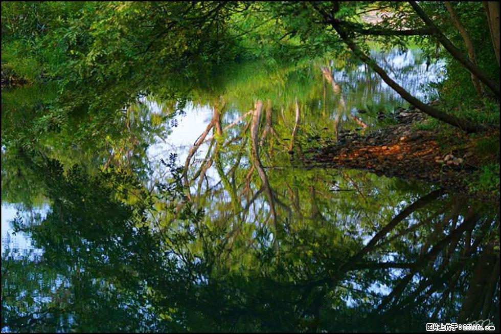 【春天,广西桂林灌阳县向您发出邀请!】熊家寨湿地公园 - 游山玩水 - 玉林生活社区 - 玉林28生活网 yulin.28life.com