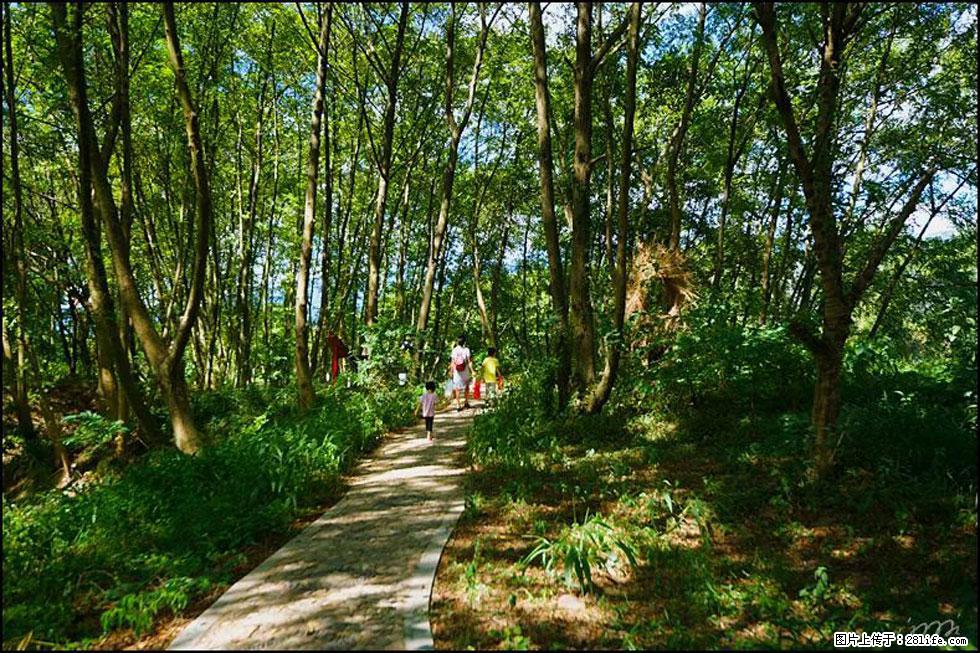 【春天,广西桂林灌阳县向您发出邀请!】熊家寨湿地公园 - 游山玩水 - 玉林生活社区 - 玉林28生活网 yulin.28life.com