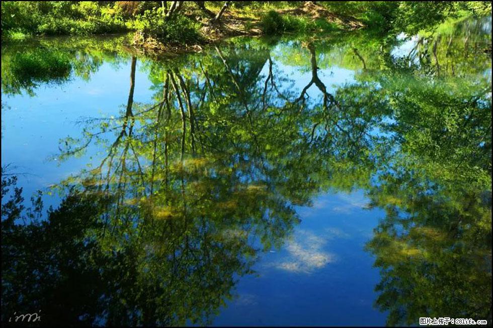 【春天,广西桂林灌阳县向您发出邀请!】熊家寨湿地公园 - 游山玩水 - 玉林生活社区 - 玉林28生活网 yulin.28life.com