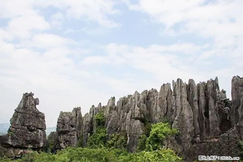 桂林旅游名城景点:灌阳文市石林 - 游山玩水 - 玉林生活社区 - 玉林28生活网 yulin.28life.com