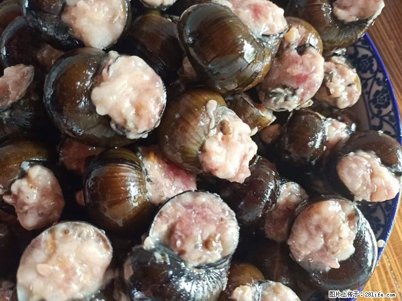 （舌尖上的乡村）灌阳：让人口齿留香的田螺酿 - 2023年07月31日 桂林日报第6版刊发 - 美食天地 - 玉林生活社区 - 玉林28生活网 yulin.28life.com