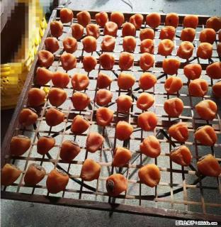 广西桂林平乐桥亭【柿饼之乡】2025年纯手工制作、无任何添加剂的第一批柿饼准备上市了，欢迎联系订购！ - 玉林28生活网 yulin.28life.com