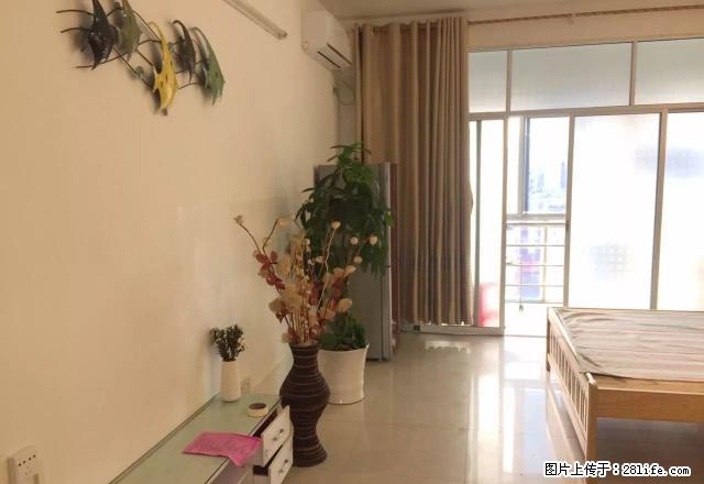 南江大润发旁 中环大厦 精装修一厅一房 1000/月 急租 - 房屋出租 - 房屋租售 - 玉林分类信息 - 玉林28生活网 yulin.28life.com