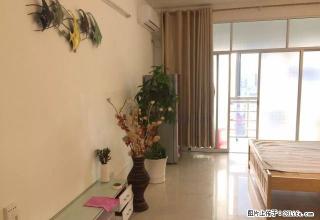 南江大润发旁 中环大厦 精装修一厅一房 1000/月 急租 - 玉林28生活网 yulin.28life.com