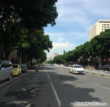 (单间出租)人民东路~旧市政府对面~农行单位小区，车位充足！ - 房屋出租 - 房屋租售 - 玉林分类信息 - 玉林28生活网 yulin.28life.com