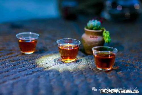 时间果百年古树2025年春红茶 - 购物交流 - 玉林生活社区 - 玉林28生活网 yulin.28life.com