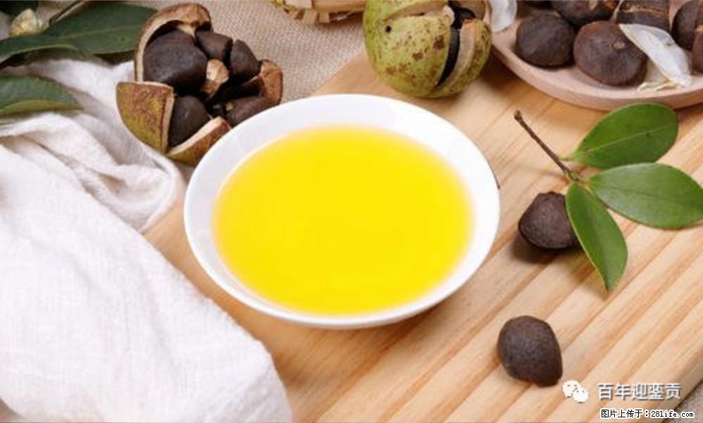 揭秘茶油的5大核心营养成分！被称为人体健康的“守护盾”！ - 玉林生活资讯 - 玉林28生活网 yulin.28life.com