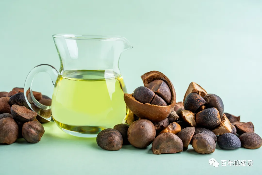 世界没有真相，只有认知，最好的食用油是中国的山茶油！ - 玉林生活资讯 - 玉林28生活网 yulin.28life.com