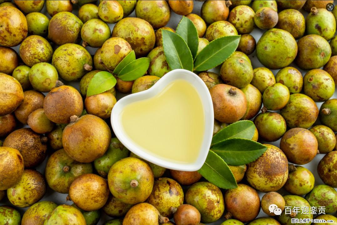 世界没有真相，只有认知，最好的食用油是中国的山茶油！ - 玉林生活资讯 - 玉林28生活网 yulin.28life.com