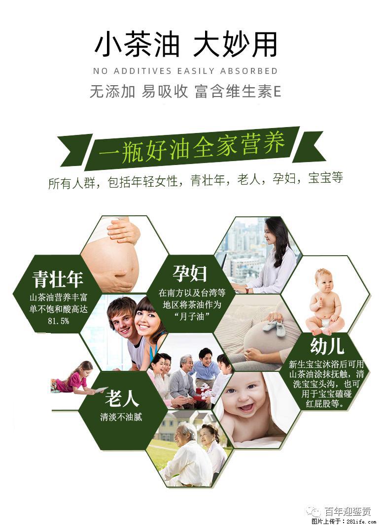 世界没有真相，只有认知，最好的食用油是中国的山茶油！ - 玉林生活资讯 - 玉林28生活网 yulin.28life.com