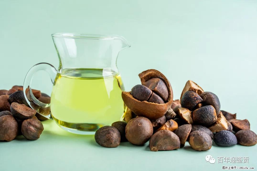 世界没有真相，只有认知，最好的食用油是中国的山茶油！ - 玉林生活资讯 - 玉林28生活网 yulin.28life.com