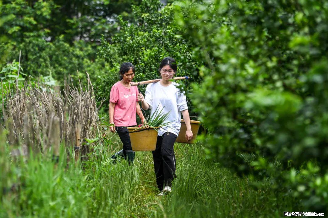 全网追的“扁担女孩”，找了一份暑假工，时薪12元 - 玉林生活资讯 - 玉林28生活网 yulin.28life.com