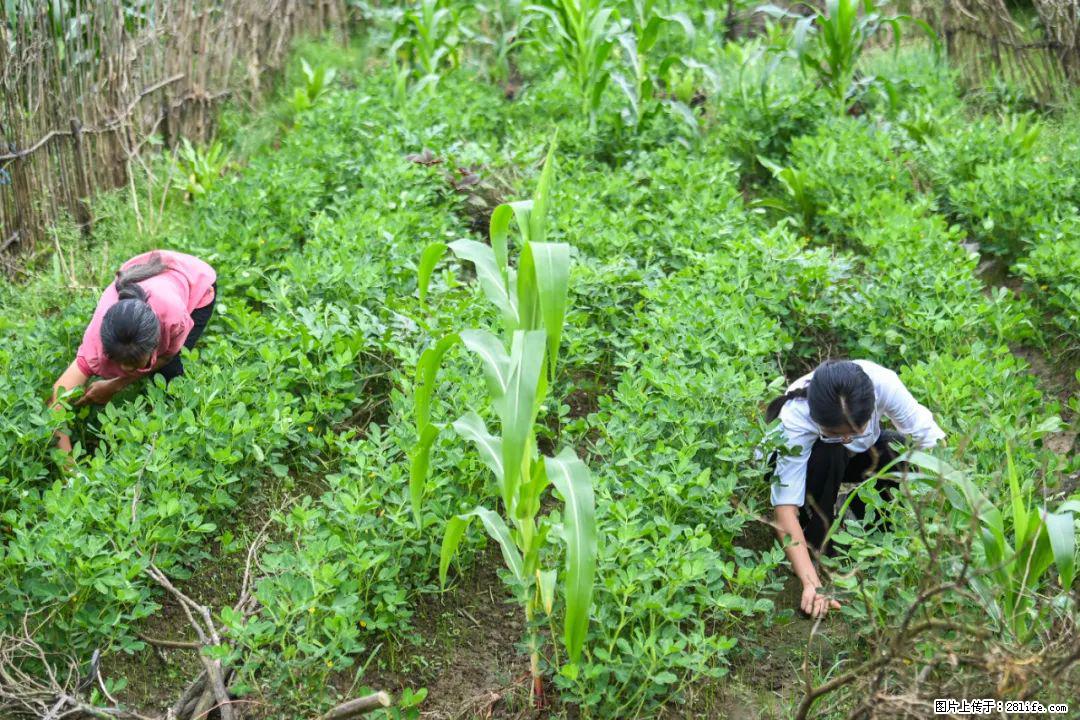 全网追的“扁担女孩”，找了一份暑假工，时薪12元 - 玉林生活资讯 - 玉林28生活网 yulin.28life.com