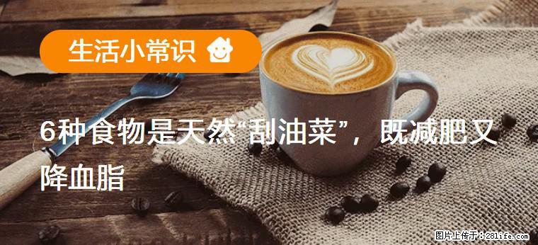 【生活小常识】6种食物是天然“刮油菜”，既减肥又降血脂 - 玉林生活资讯 - 玉林28生活网 yulin.28life.com