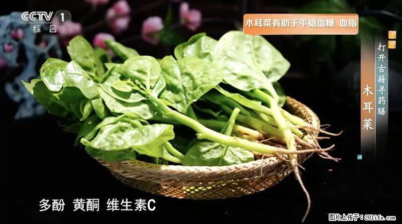 比牛奶补钙还厉害！凉血解毒、稳血糖...这菜冬天必吃，很多人却当草 - 玉林生活资讯 - 玉林28生活网 yulin.28life.com