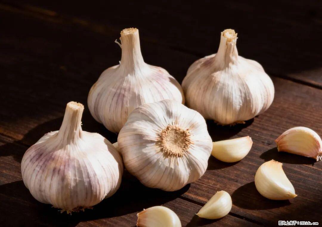 关于大蒜，除了“天然抗生素”，这4个谣言更该警惕! - 玉林生活资讯 - 玉林28生活网 yulin.28life.com