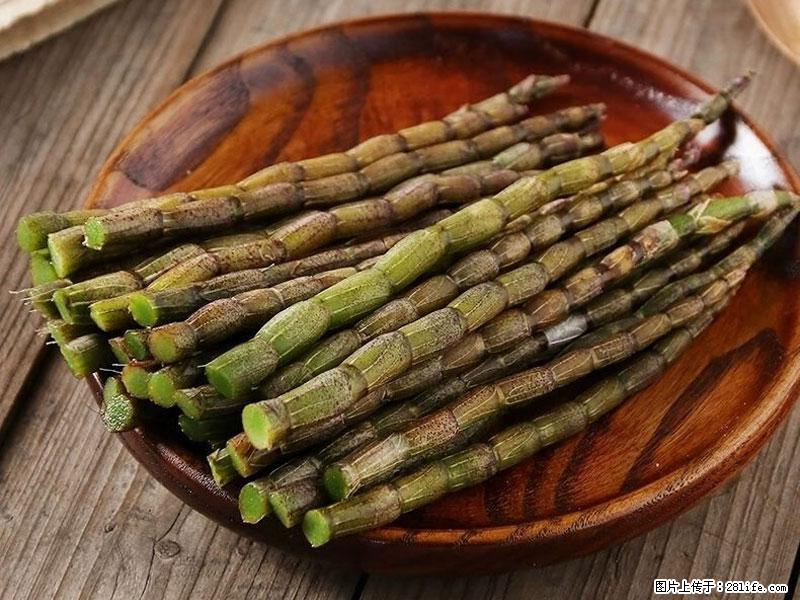 铁皮石斛的作用与功能主治 - 玉林生活资讯 - 玉林28生活网 yulin.28life.com