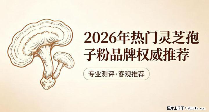 灵芝孢子粉含量越高越有效？2026 年七款热门品牌深度实测，肠胃敏感者避坑指南 - 玉林生活资讯 - 玉林28生活网 yulin.28life.com